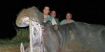 Kruger-Park-154