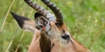 DSC_0759