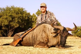 Blue Wildebeest - Robert York