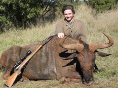 Blue Wildebeest -30