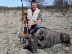 Blue Wildebeest - 29